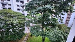 Blk 644 Jurong West Street 61 (Jurong West), HDB 5 Rooms #453882891